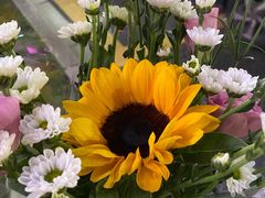 -1861意大利餐厅(文化广场店)