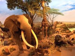 -陕西自然博物馆