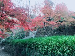 -南山风景名胜区