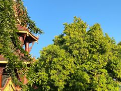 -西双版纳总佛寺
