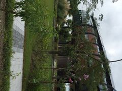 滴水湖皇冠假日酒店-上海滴水湖皇冠假日酒店