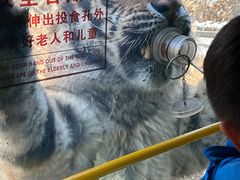 -栾川竹海野生动物园