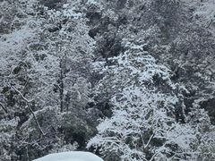-西岭雪山大飞水景区