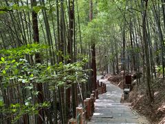 -敬亭山风景名胜区