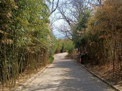 -石老人观光园