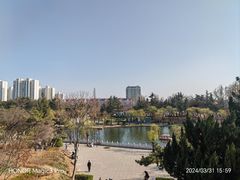 -莱西月湖公园