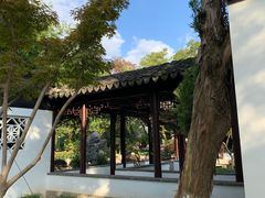 -月湖公园