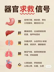 -香薇妮丝女子减肥院