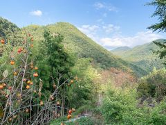 -丹山赤水风景名胜区