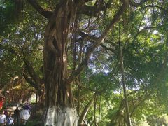 -胡里山炮台