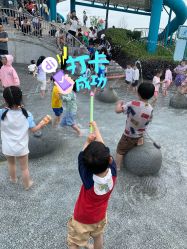 点击看大图 -季高兔窝窝亲子园(上海薰衣草公园店)