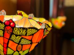 -栖巢咖啡馆(双岗店)