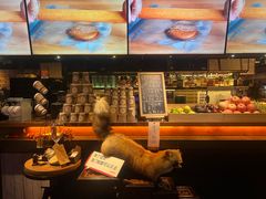 -杂咖zacup(领展中心城店)