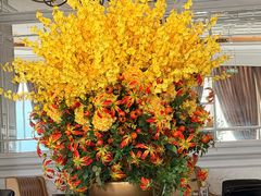 -哈布斯扒房(华发商都店)