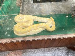 -上海大自然野生昆虫馆