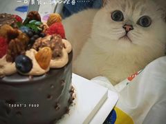 -山与蓝·轻糖鲜果蛋糕(勒泰店)