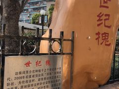 -石炮台公园