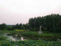-白洋淀景区