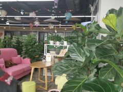 -田螺阿姨自营月嫂·育儿嫂(高新店)