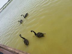 -南大港湿地风景区