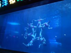 -蓬莱欧乐堡海洋极地世界