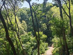 -上海佘山国家森林公园天马山园