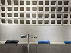 -浣熊柯尔鸭土拨鼠·电玩咖
