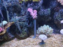-大连老虎滩海洋公园