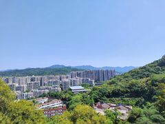 -福道