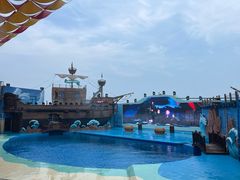 -海合安青岛极地海洋公园