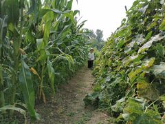 -太阳岛度假酒店