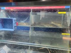 水产区-鱼酷活鱼烤鱼(南京水游城店)