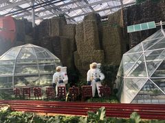 -兰陵国家农业公园