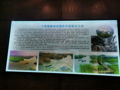 -下渚湖国家湿地公园科普馆