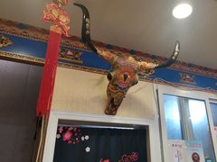 -金鼎雪山牦牛杂火锅(理县总店)