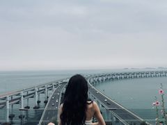 -星海湾跨海大桥