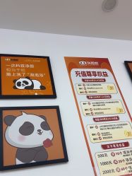 -洗脸熊·洗脸吧