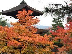 -常寂光寺