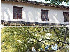 -西园戒幢律寺