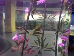 -常州海昌海洋探索馆