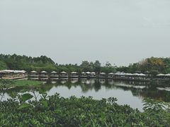 -三圣花乡旅游区