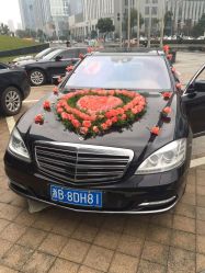 -宁波甬诚婚车(新典路店)