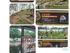 -广州动物园