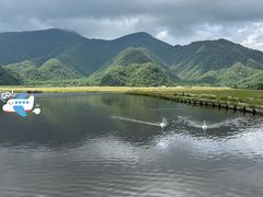 景点-大九湖