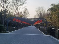 -东平国家森林公园