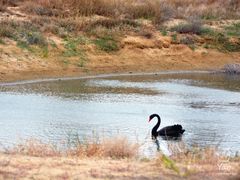 -亿利库布其七星湖沙漠生态旅游区