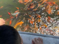 -有喜胶东小馆(太申祥和店)