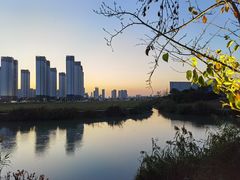 -澹台湖公园