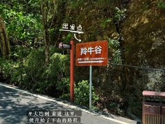 -牛背梁国家森林公园