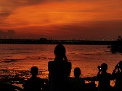 -宝安西湾红树林湿地公园